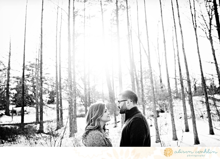 tarin and ramin engagement - two little birds planning